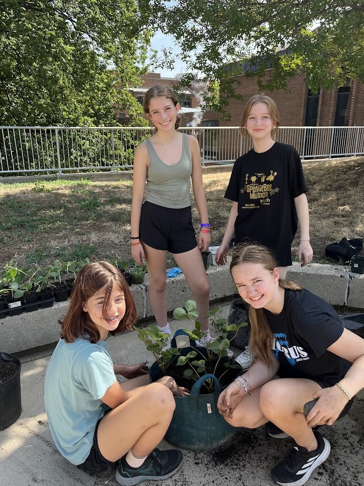 54340009814_ce0f92a43a_b